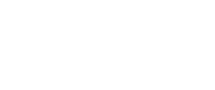 Hello Janis,
 Just wanted to thank you, for a fantastic job from both you and the Amazing Steve Q! You could have just done everything like last year (and that would have been great), but you both manage to impress us even more, with new balloons and face painting. You guys really are the life of the party! See you next year.
 Sincerely,
 The Genao, Joaquin, Marlin and Yanneris Jan, 2011
